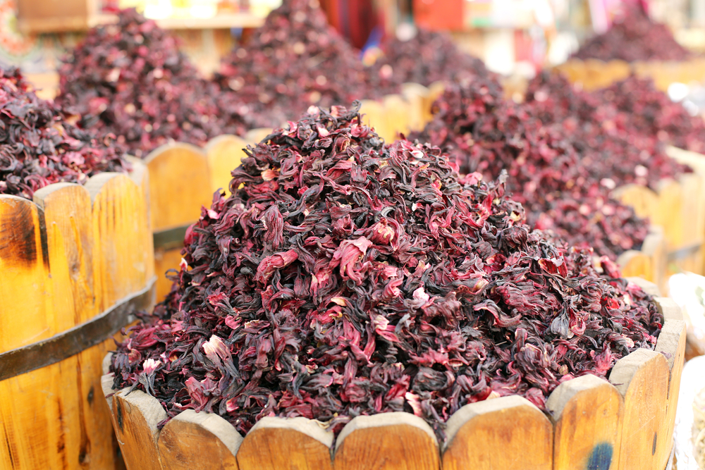 Stock d'hibiscus par Secret d'Afrique