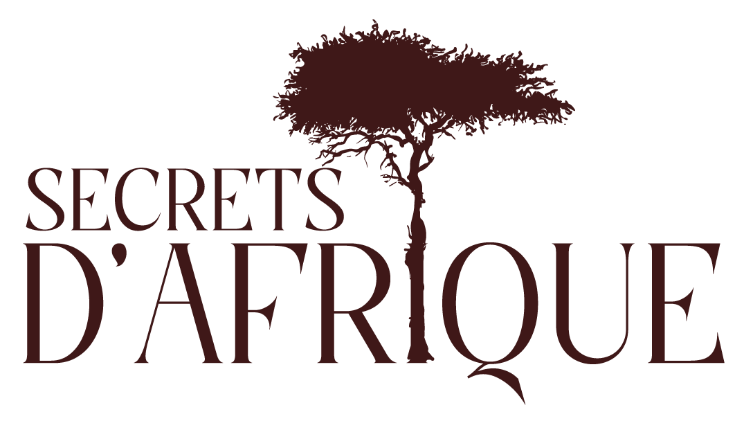 Logo secrets d'Afrique